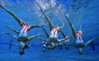 nba狼王怎么了，nba狼王退役？